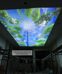 Alternative view of TRẦN IN XUYÊN SÁNG - BIÊN HÒA