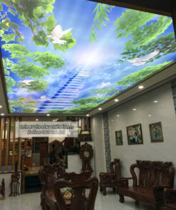 TRẦN IN XUYÊN SÁNG - BIÊN HÒA