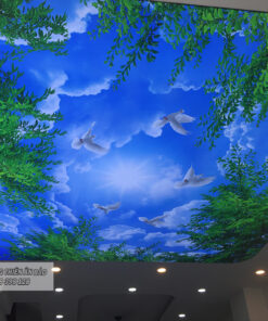 TRẦN IN XUYÊN SÁNG - LONG AN