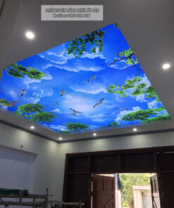 Alternative view of TRẦN IN XUYÊN SÁNG - TT PHÚ MỸ