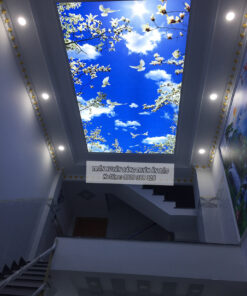 TRẦN IN XUYÊN SÁNG - BÌNH TÂN (AD2)