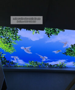 TRẦN IN XUYÊN SÁNG - TÂN BÌNH (TC)