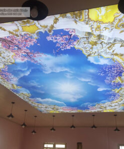 TRẦN IN XUYÊN SÁNG - THỦ ĐỨC