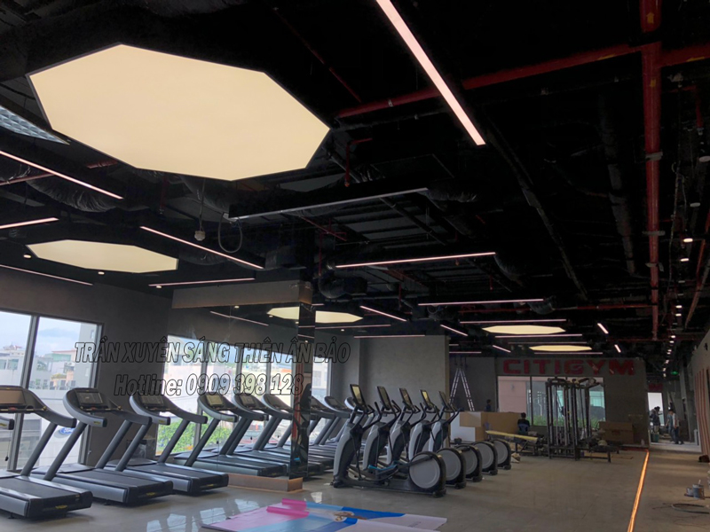 TRẦN XUYÊN SÁNG TRẮNG- CITY GYM PHỔ QUANG