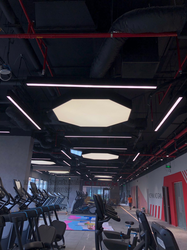 TRẦN XUYÊN SÁNG TRẮNG- CITY GYM PHỔ QUANG - Ảnh 2