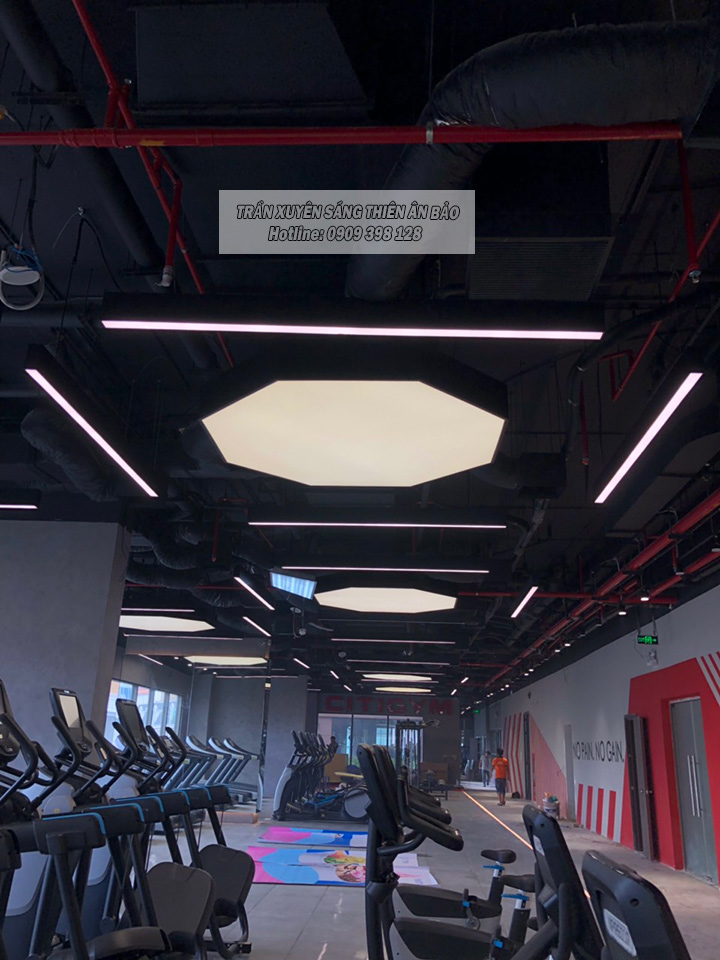 TRẦN XUYÊN SÁNG TRẮNG- CITY GYM PHỔ QUANG - Ảnh 4